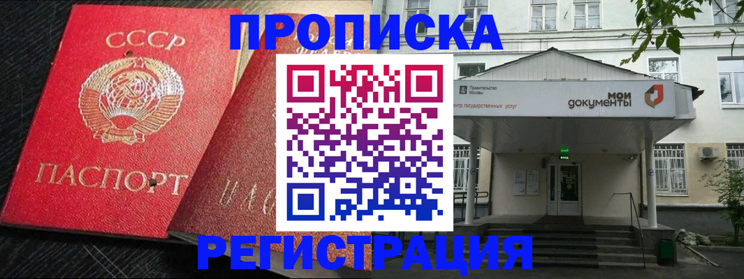прописка в квартире в Лесном